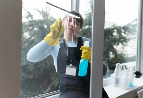 Nettoyage de vitres intérieures et extérieures à Chessy